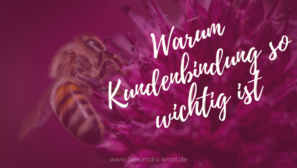 Grafik - Warum Kundenbindung so wichtig ist