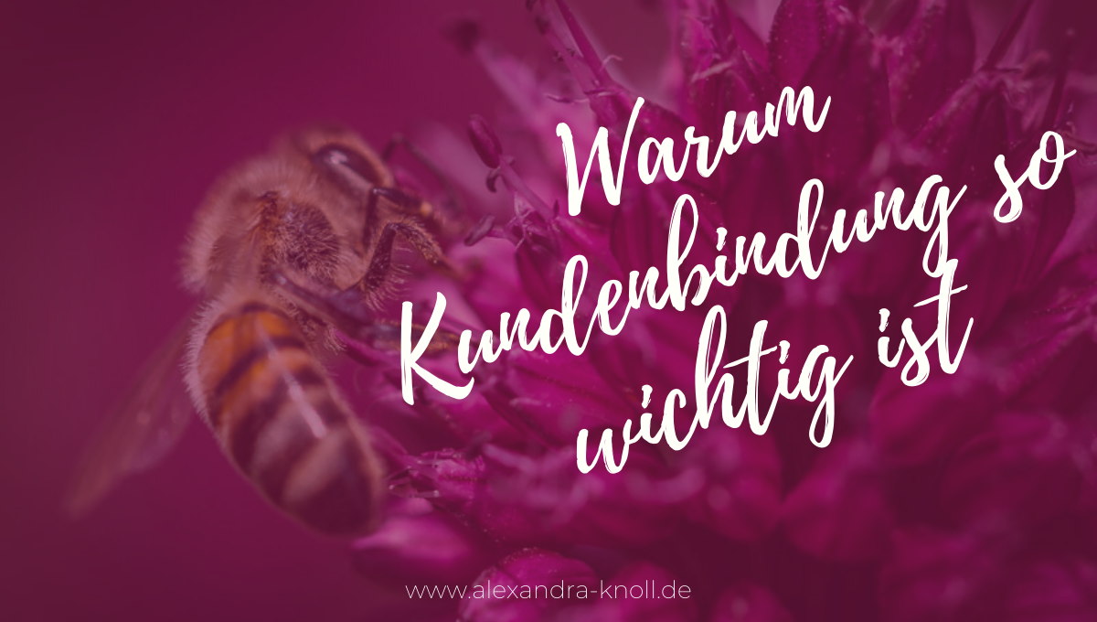 Grafik - Warum Kundenbindung so wichtig ist
