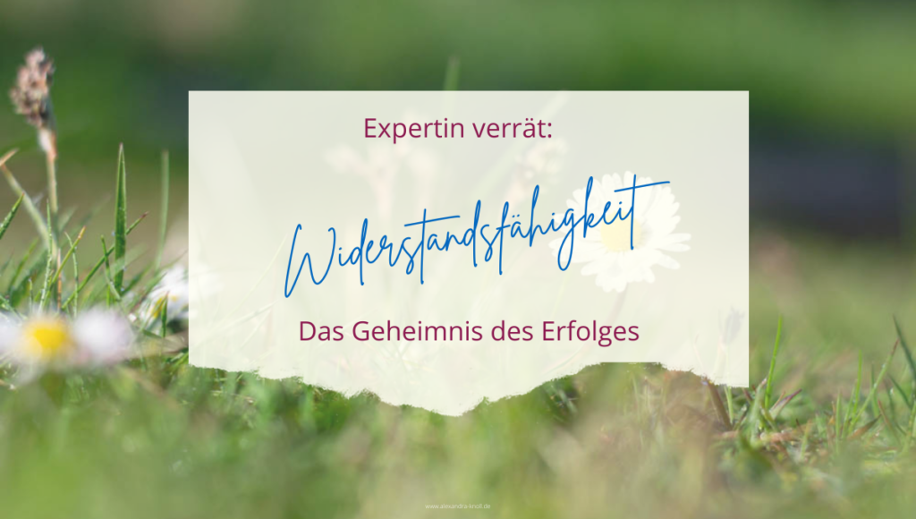 Grafik - Widerstandsfähigkeit - Das Geheimnis des Erfolges