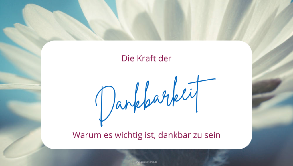 Grafik - Die Kraft der Dankbarkeit