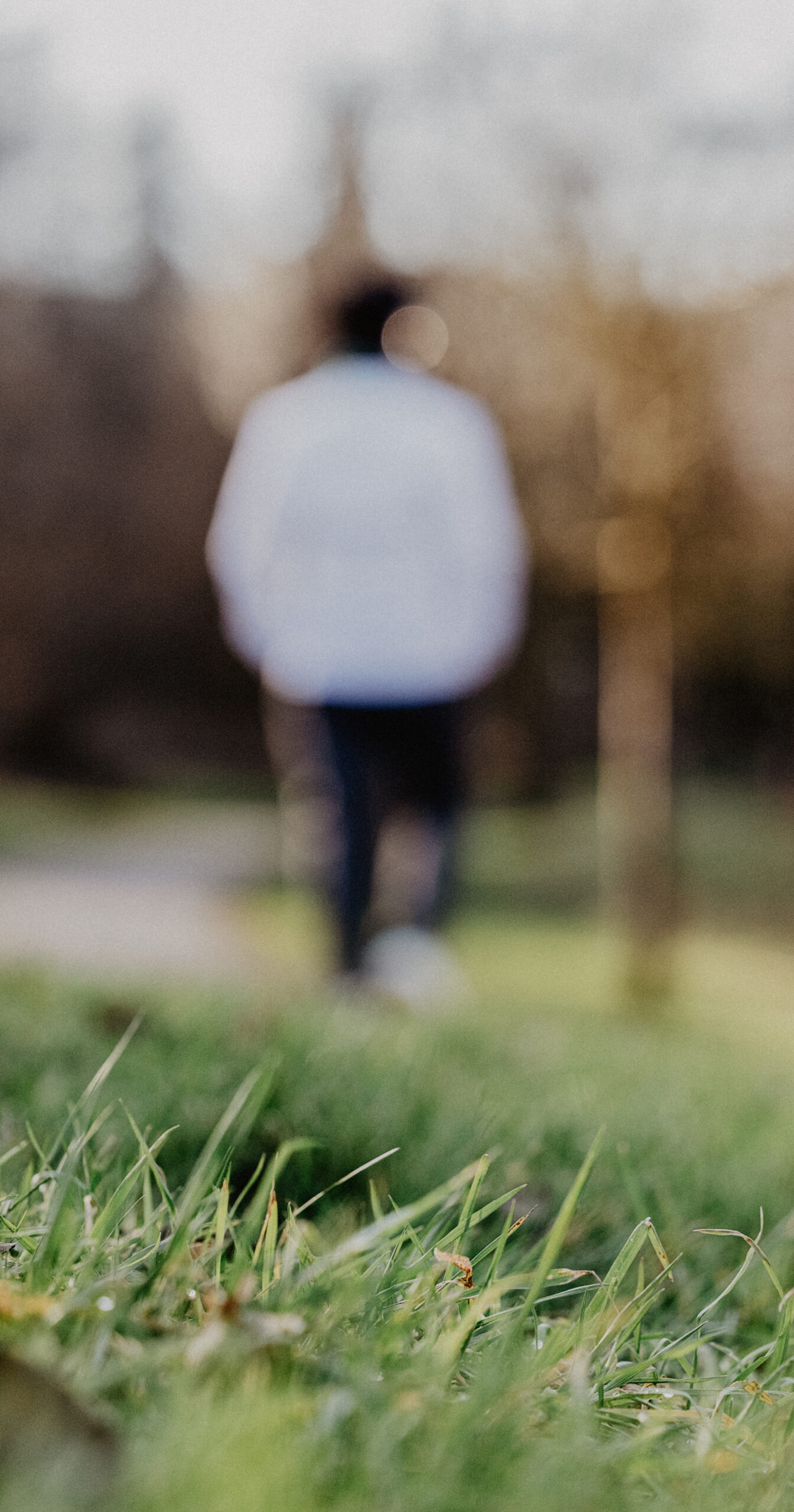 Naturcoaching verbindet Naturerfahrung mit persönlicher Entwicklung und Coachingprozessen